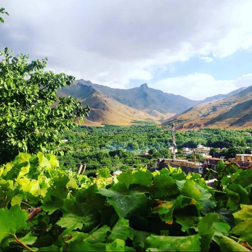 عکس وفرجین