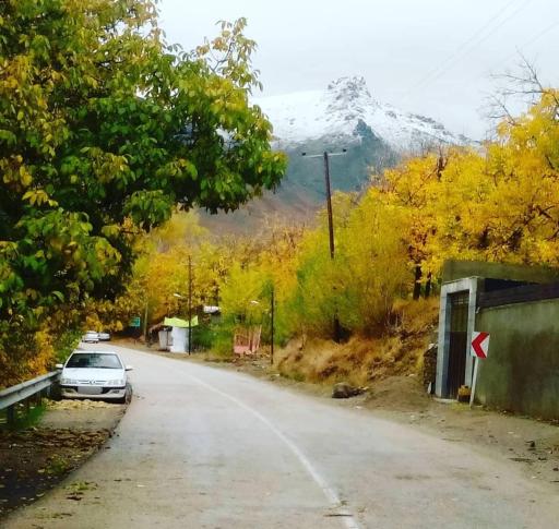 عکس وفرجین