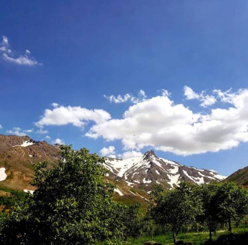 عکس وفرجین