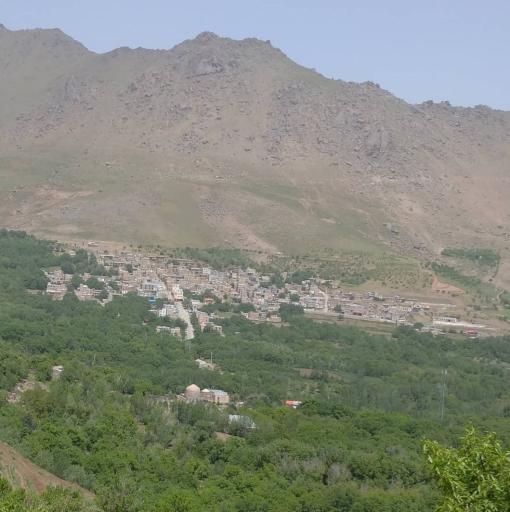 وفرجین