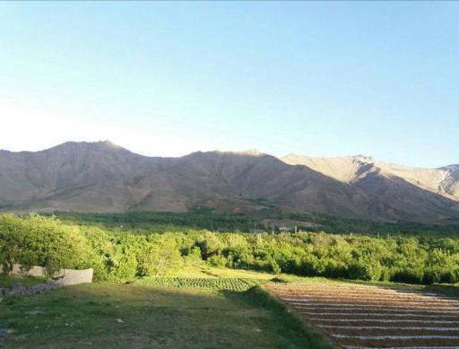 عکس وفرجین