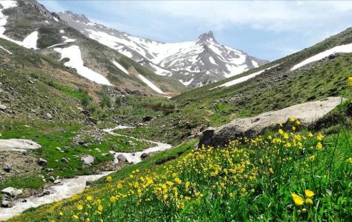 عکس وفرجین