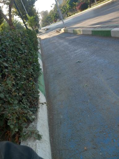 عکس  ششصد دستگاه