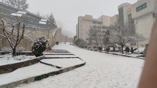 عکس دانشکده علوم و فناوری‌های همگرا (علوم پایه سابق)