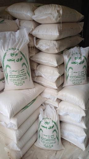 عکس برنجکوبی و سورتینگ مدرن قوی پنجه