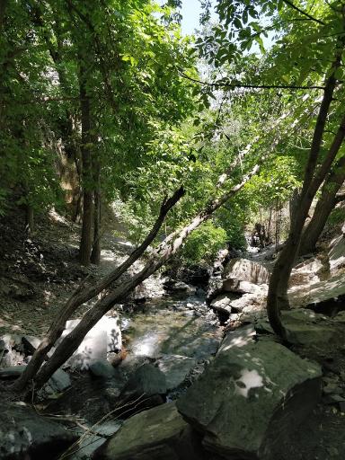 عکس آبشار کنگ