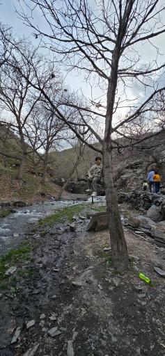 عکس آبشار کنگ