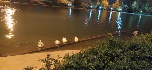 عکس مجموعه قایقرانی کوهسنگی لند