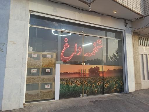عکس تخمه داغ آفتابان