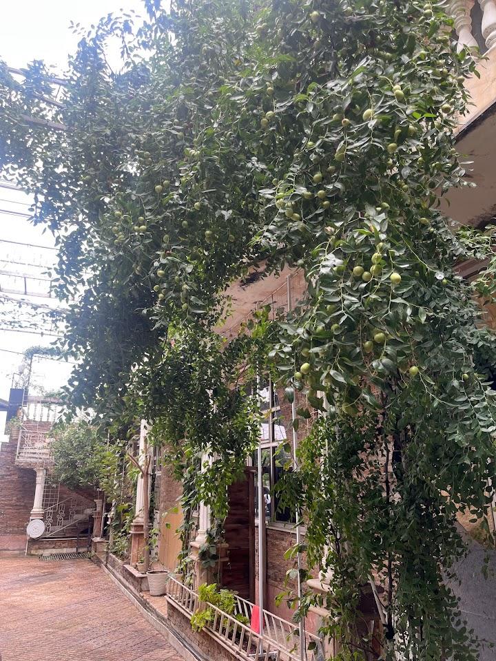 عکس مجتمع اقامتی آستارا