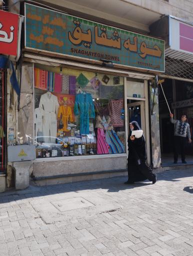 عکس حوله شقایق