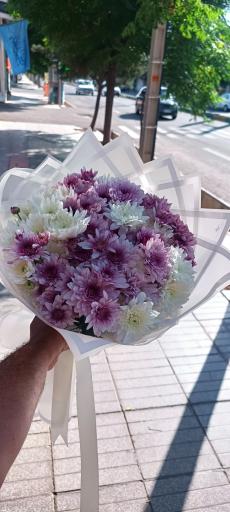 عکس گلکده هستی