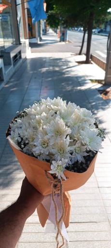 عکس گلکده هستی