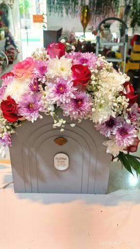 عکس گلکده هستی