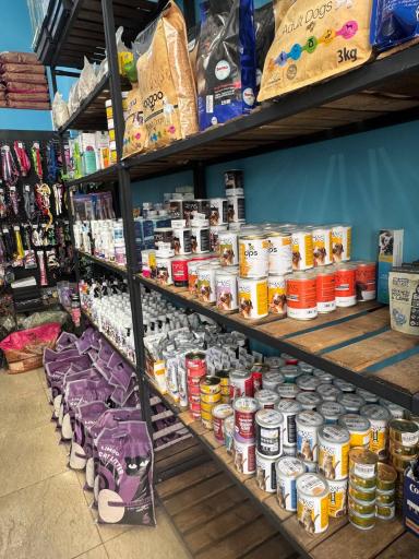 عکس پت شاپ حامی