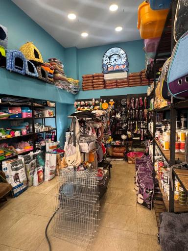 عکس پت شاپ حامی