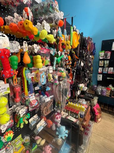 عکس پت شاپ حامی