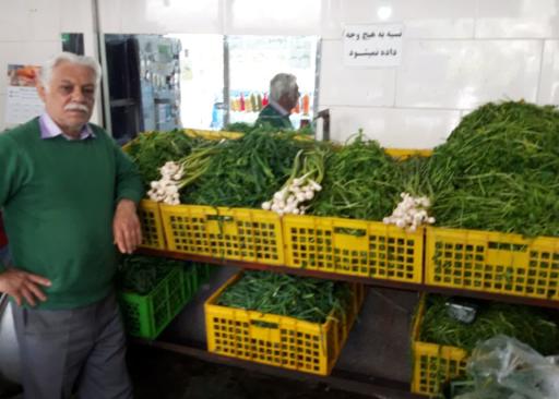 سبزی خردکنی قصر سبزی