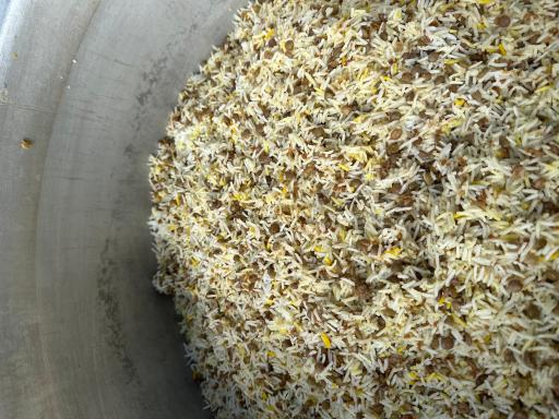 عکس برنج و چای مرادپور