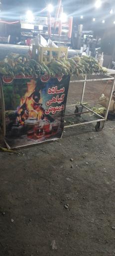 عکس خاله بلال