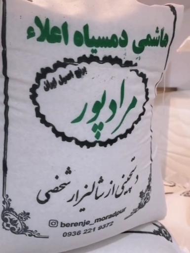 عکس برنج و چای مرادپور