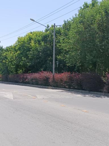 عکس پارک دنارت