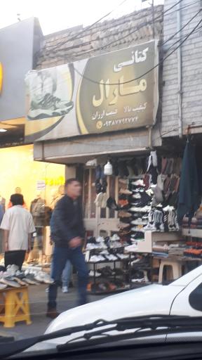 عکس کتانی مارال