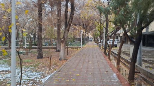 عکس بوستان همافر