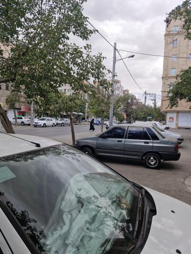 عکس  شهید صفدری نژاد 10