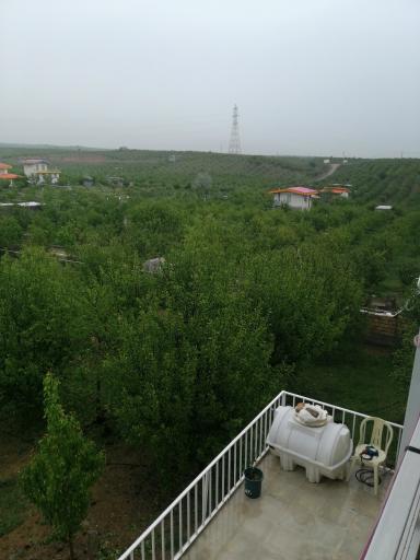 باغ حاجی جعفر خان احمدی 