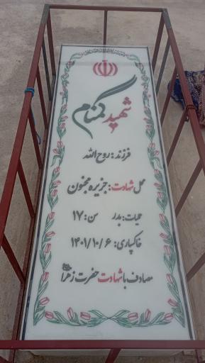 عکس شهید گمنام 