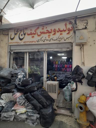 عکس کیف تاج محل
