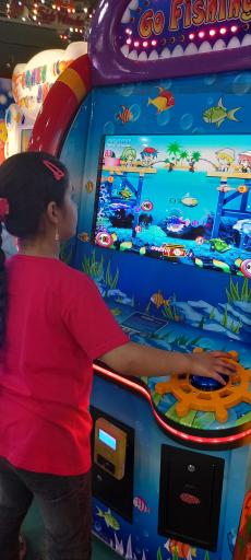 عکس شهربازی سرپوشیده ستاره درخشان