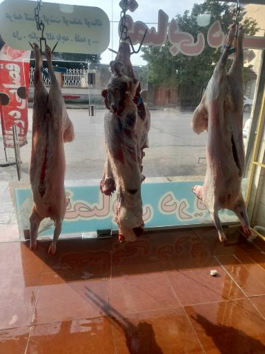 عکس قصابی دریا
