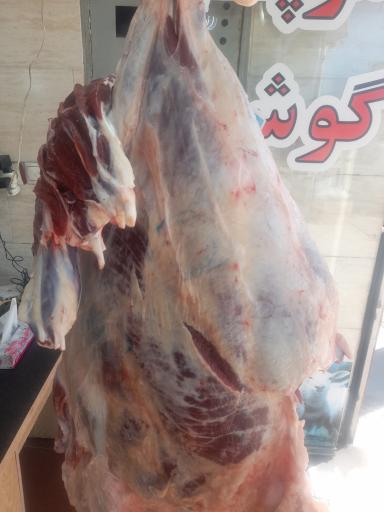 عکس قصابی دریا