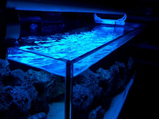 عکس فروشگاه مامیران