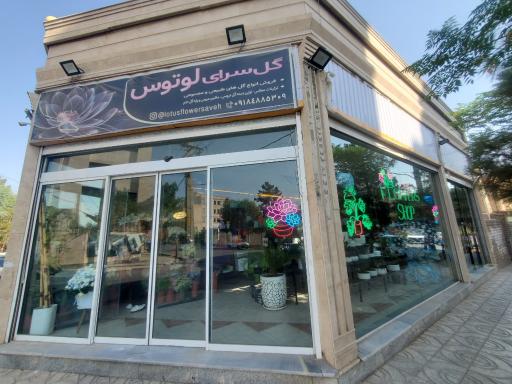 گل فروشی لوتوس