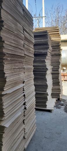 عکس کارتن ارزان فرحزاد