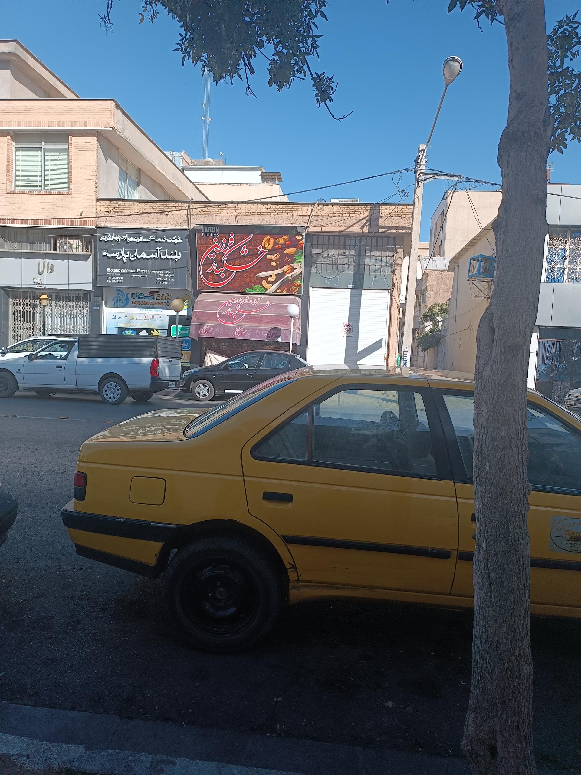 عکس خشکبار فرزین