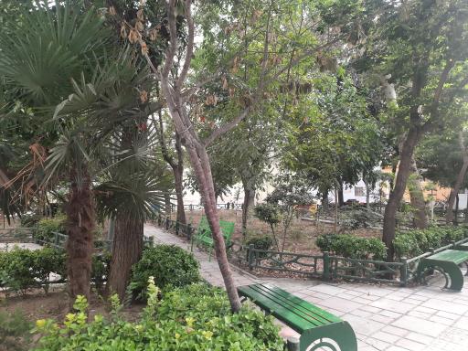 عکس امامزادگان عبدالله و زید بن عباس (ع)