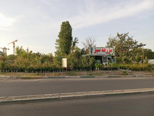 عکس مزرعه سبز