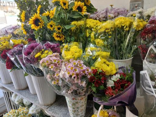 عکس گل سرای سفیرسبز