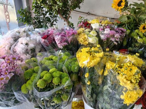 عکس گل سرای سفیرسبز