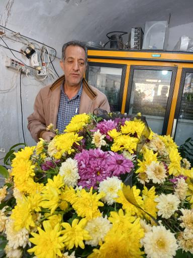 عکس گل سرای سفیرسبز