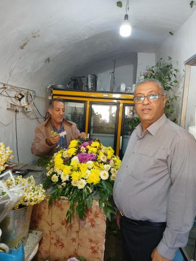عکس گل سرای سفیرسبز