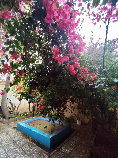 عکس اقامتگاه سنتی کوچ