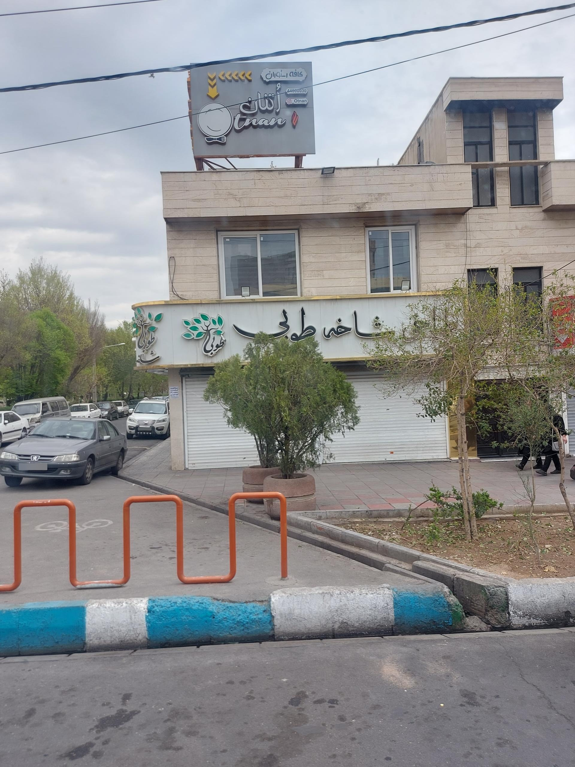 عکس طباخی شاخه طوبی