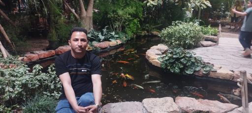 عکس نمایشگاه گل و گیاه ولیعصر