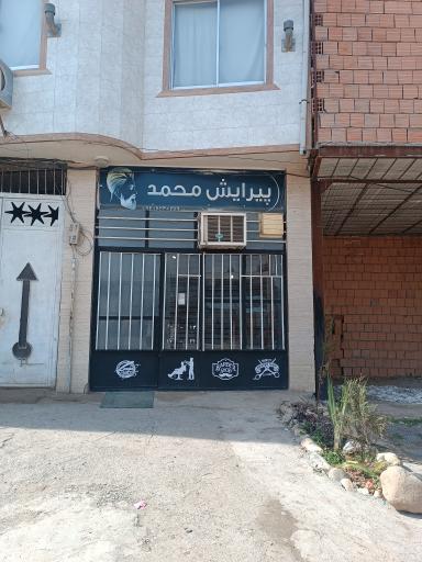 عکس پیرایش محمد 