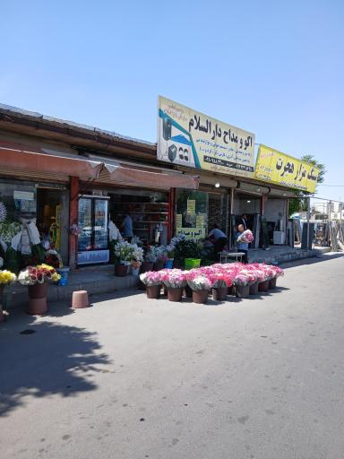 عکس اکو و مداح دارسلام